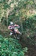 A000036.JPG