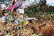 C000033.JPG