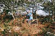 C000036.JPG